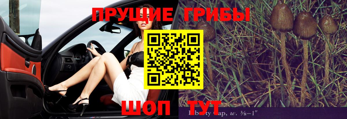Галлюциногенные грибы ЛСД  Вход с VPN  Бийск  Псилоцибиновые грибы MAGIC MUSHROOMS 